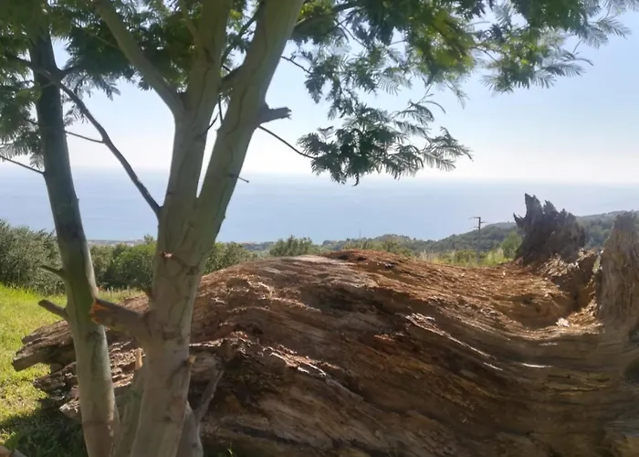 Il Cerro Agriturismo Zagarese